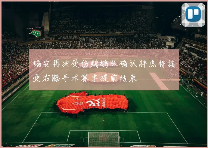 锡安再次受伤鹈鹕队确认胖虎将接受右膝手术赛季提前结束