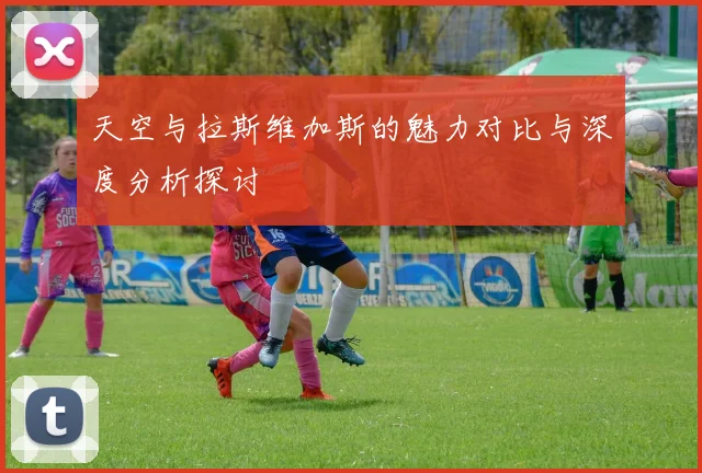 天空与拉斯维加斯的魅力对比与深度分析探讨