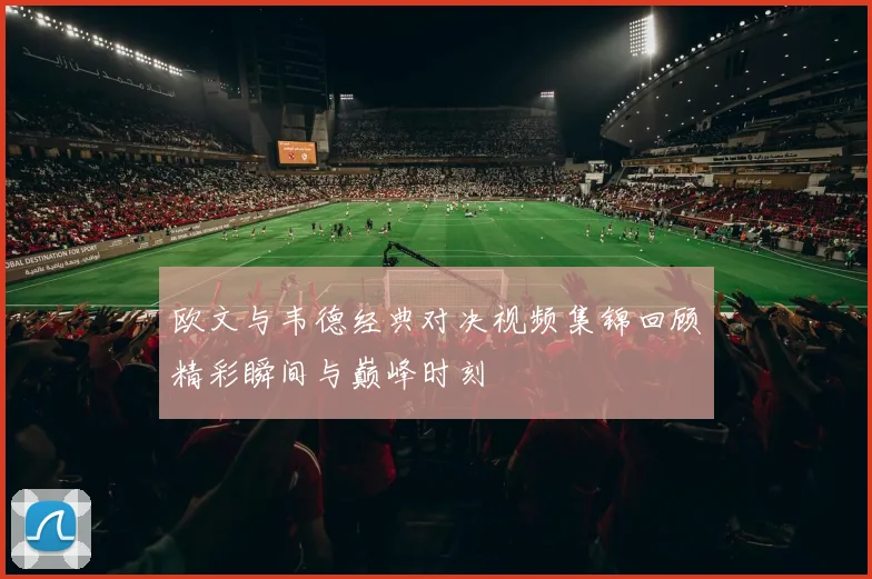 欧文与韦德经典对决视频集锦回顾精彩瞬间与巅峰时刻
